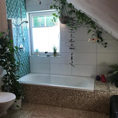 Campbell's Ridge - Im Kurviertel Von Homestay